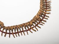 Prairie Badger Claw Necklace