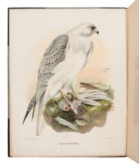 Elliot, Daniel Giraud. The New and Heretofore Unfigured Species of the Birds of North America