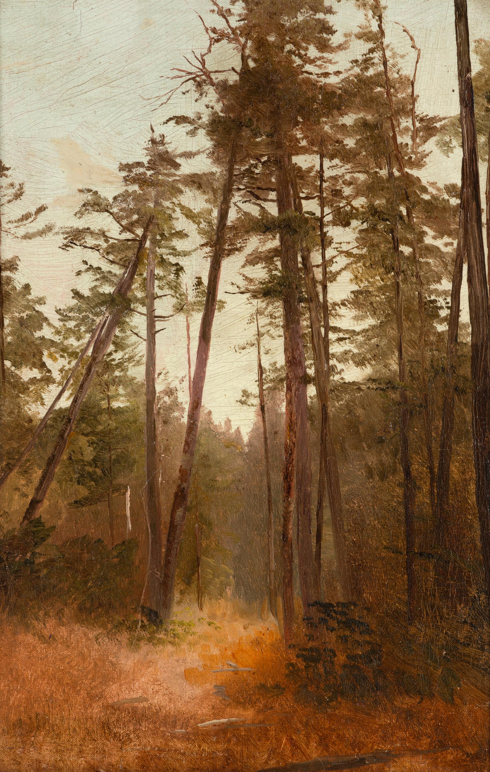 Tall Pines