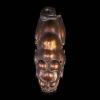 An unusual Chinese gilt-lacquered jade mythical beast 珍罕漆金玉雕瑞兽