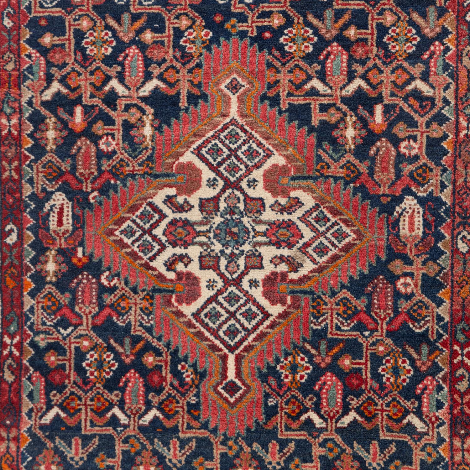A Hamadan Runner