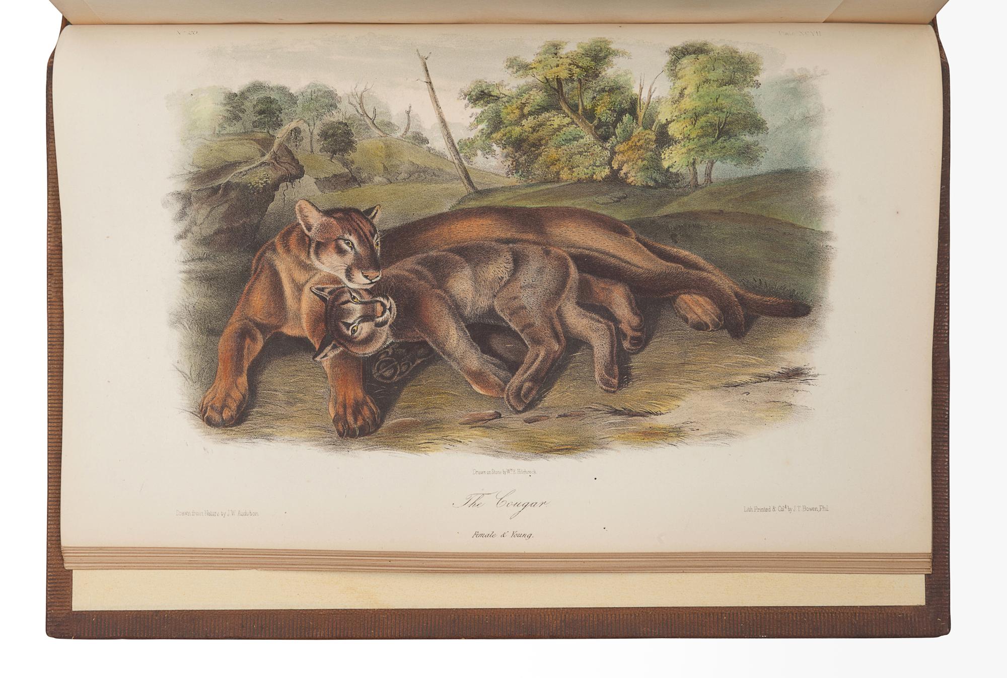 AUDUBON, John James (1785-1851). The Birds of America, from Drawings Made in the United States and their Territories . New York: J.J. Audubon; Philadelphia: J.B. Chevalier, [1839-] 1840-1844. -- AUDUBON, John James and John BACHMAN (1790-1874). The Quadrupeds of North America . New York: V.G. Audubon, 1849-1854.