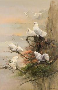 Fan Tailed Doves