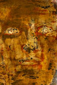 Head (XXVI)