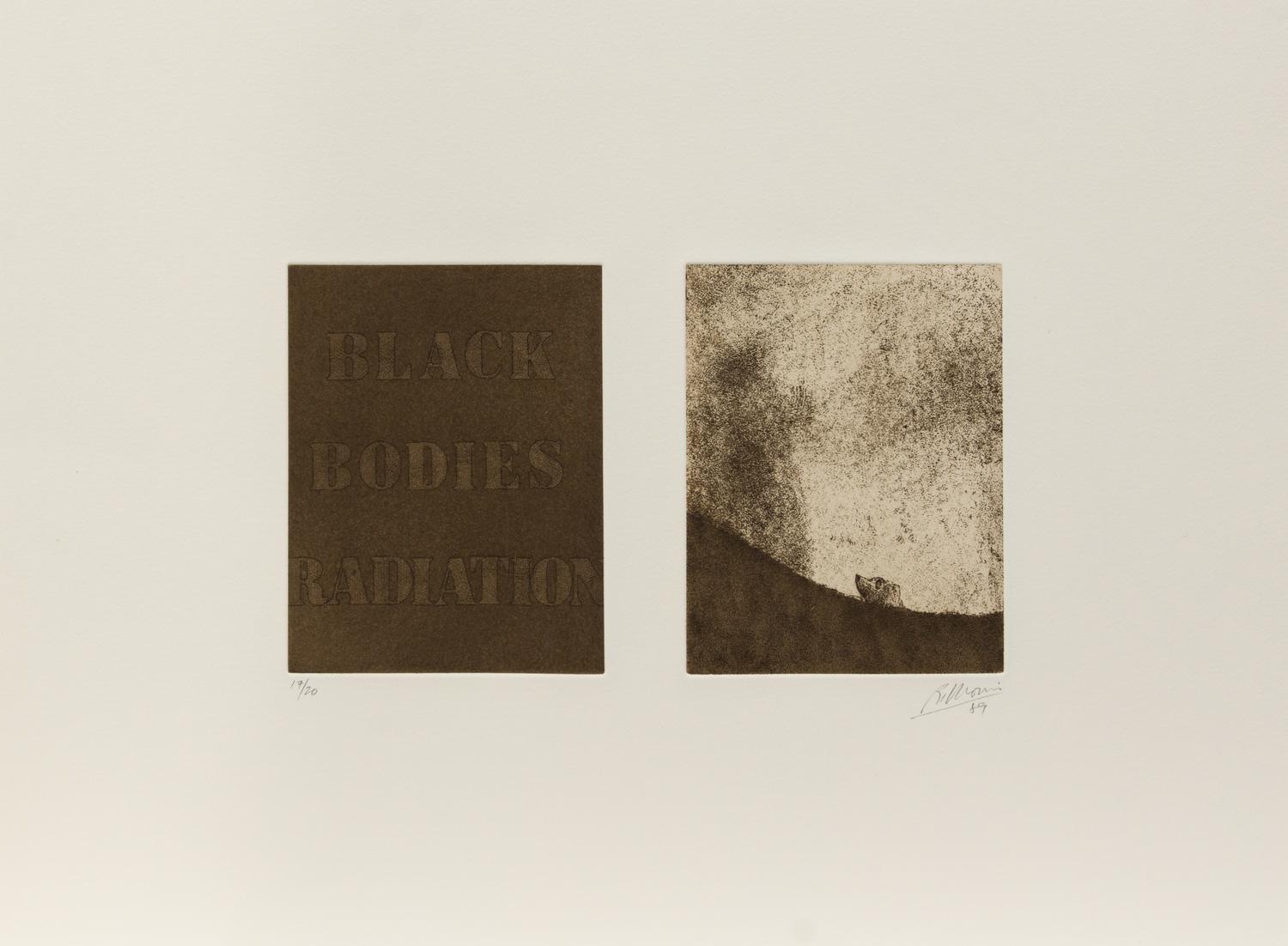 Robert Morris, (American, b. 1931), Black Bodies Radiation, Despair of Yourself Despair of Your Country, and Rotten with Criticism, 198