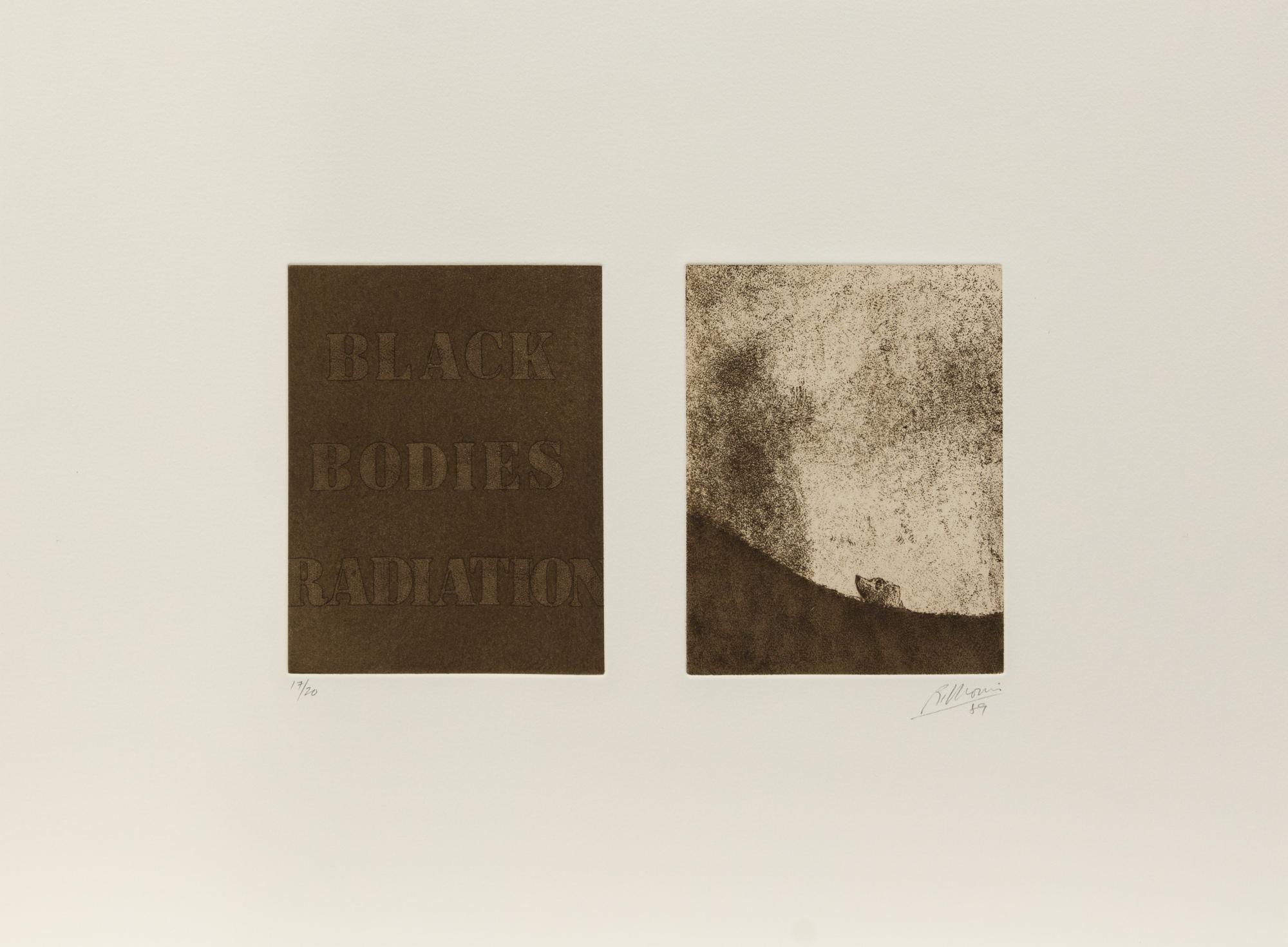 Robert Morris, (American, b. 1931), Black Bodies Radiation, Despair of Yourself Despair of Your Country, and Rotten with Criticism, 198