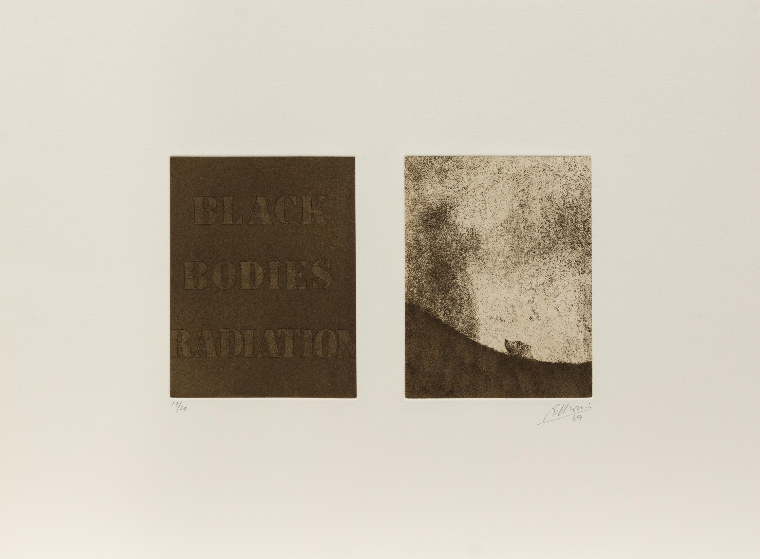Robert Morris, (American, b. 1931), Black Bodies Radiation, Despair of Yourself Despair of Your Country, and Rotten with Criticism, 198