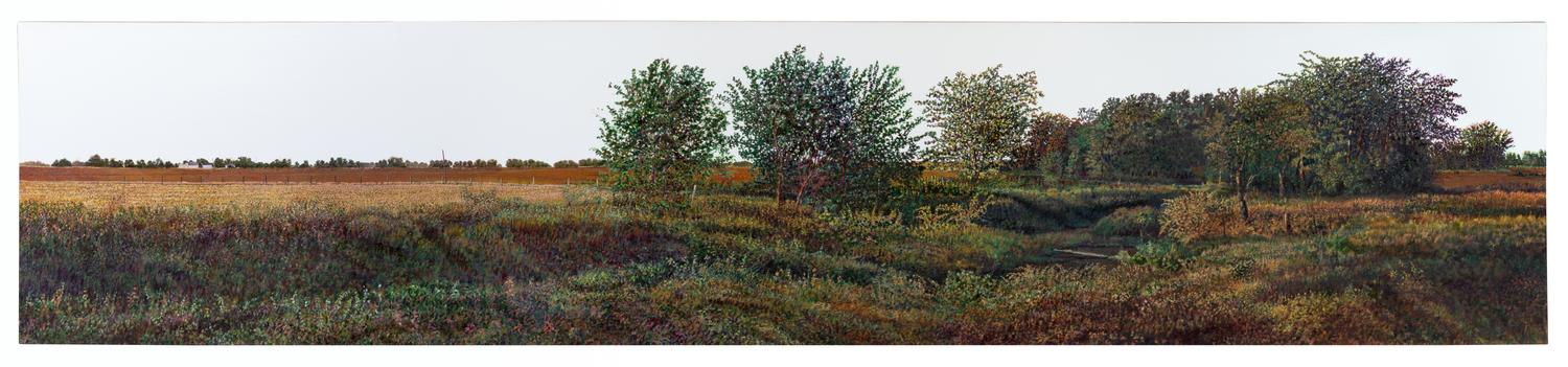 Harold Gregor, (American, b.1929), Illinois Landscape # 95, 1987