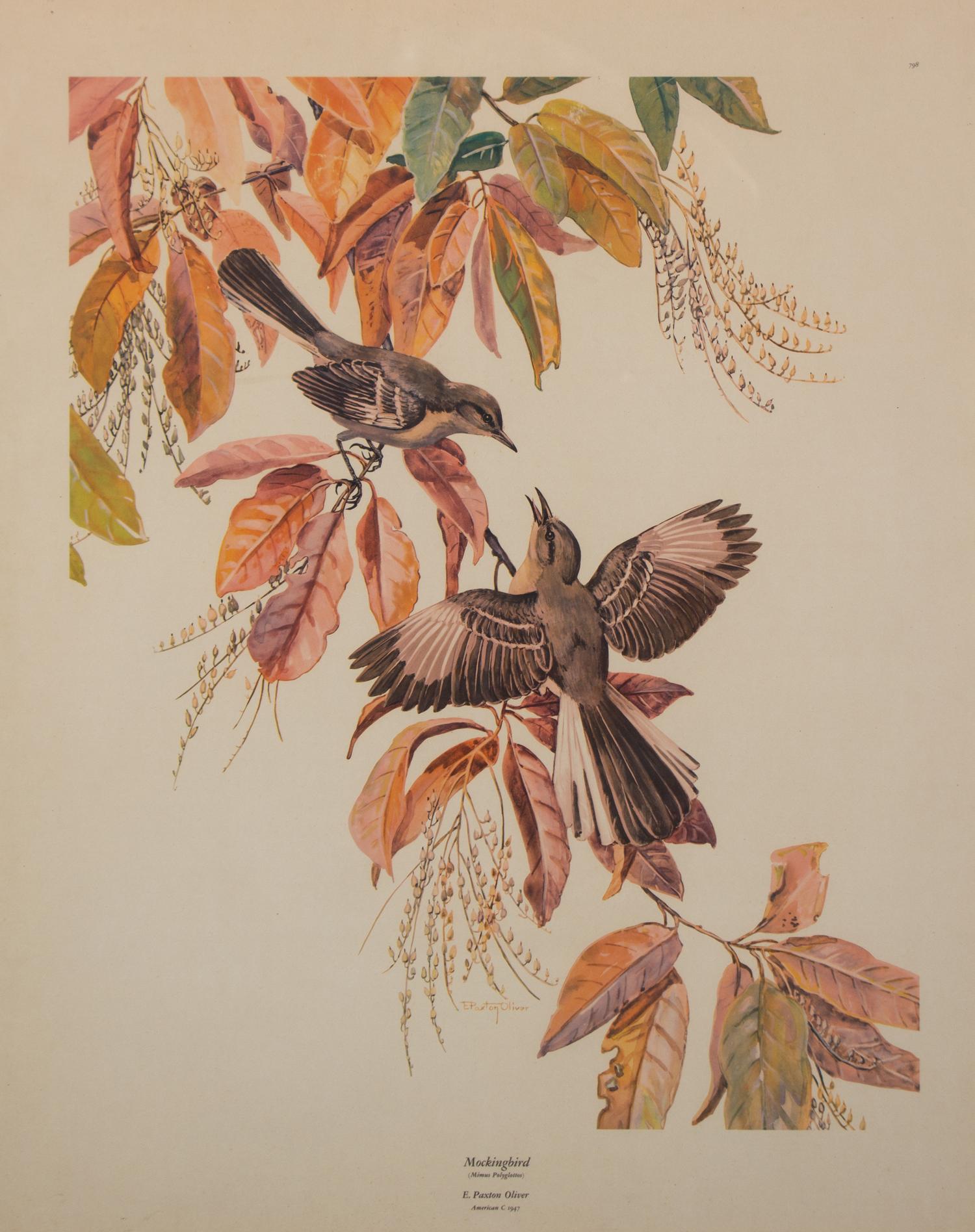 A Pair of Ornithological Prints