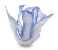 Blue Iris , 2007
