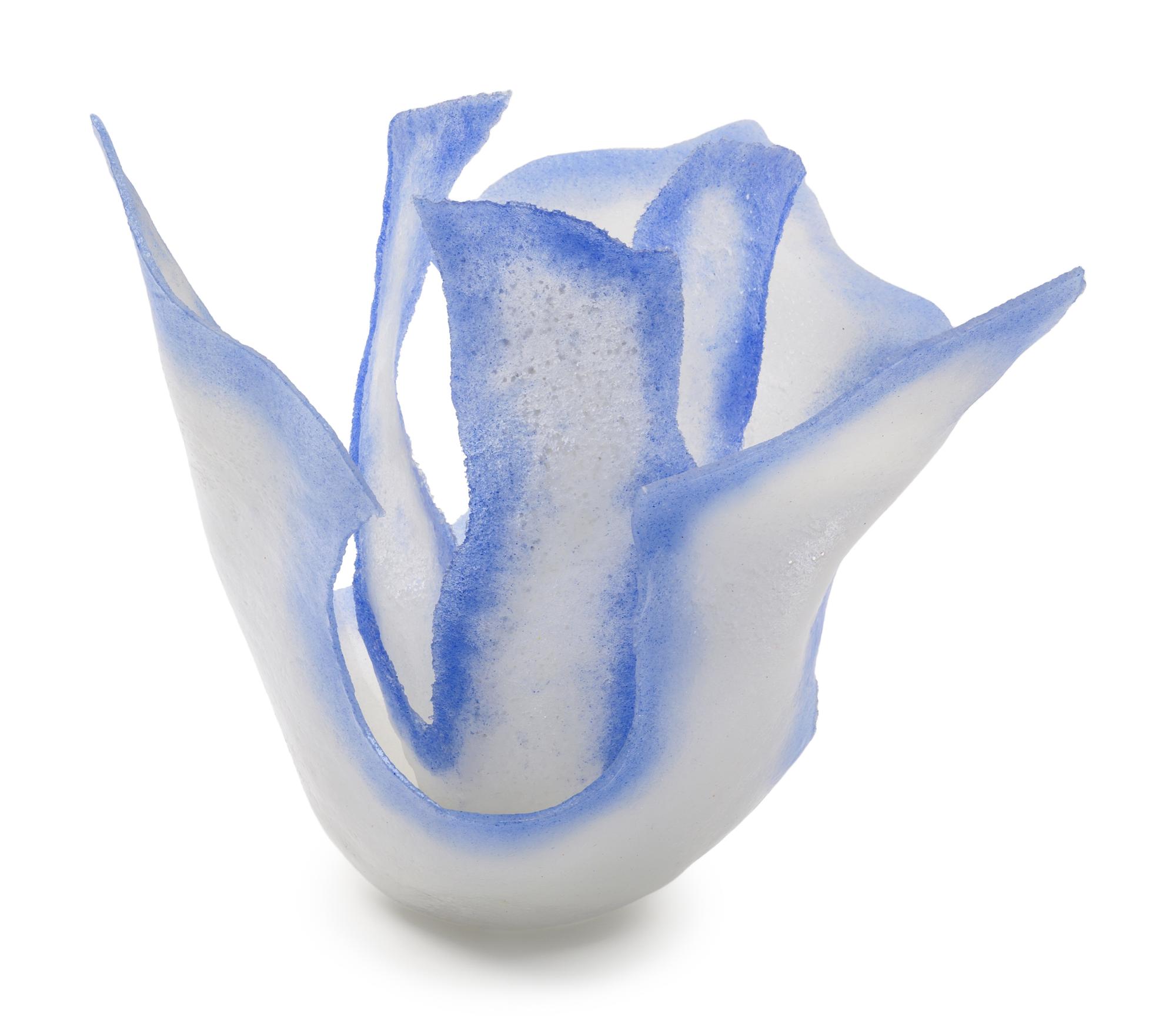Blue Iris , 2007
