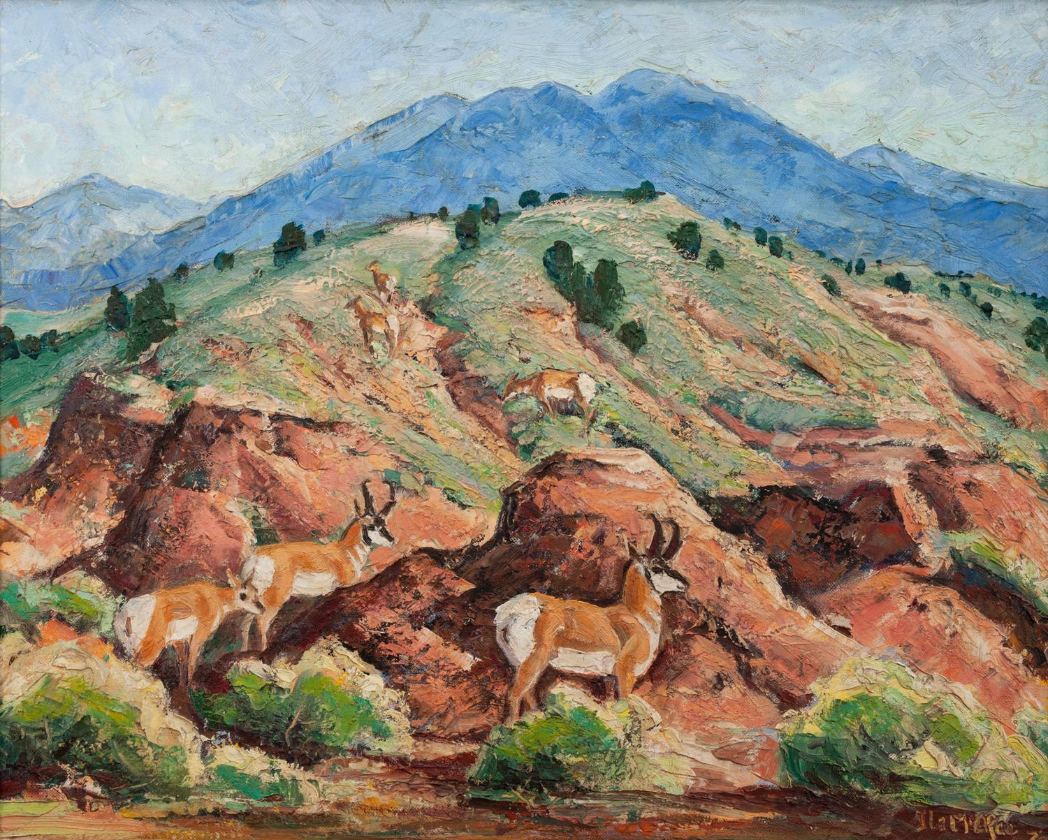 Antelope