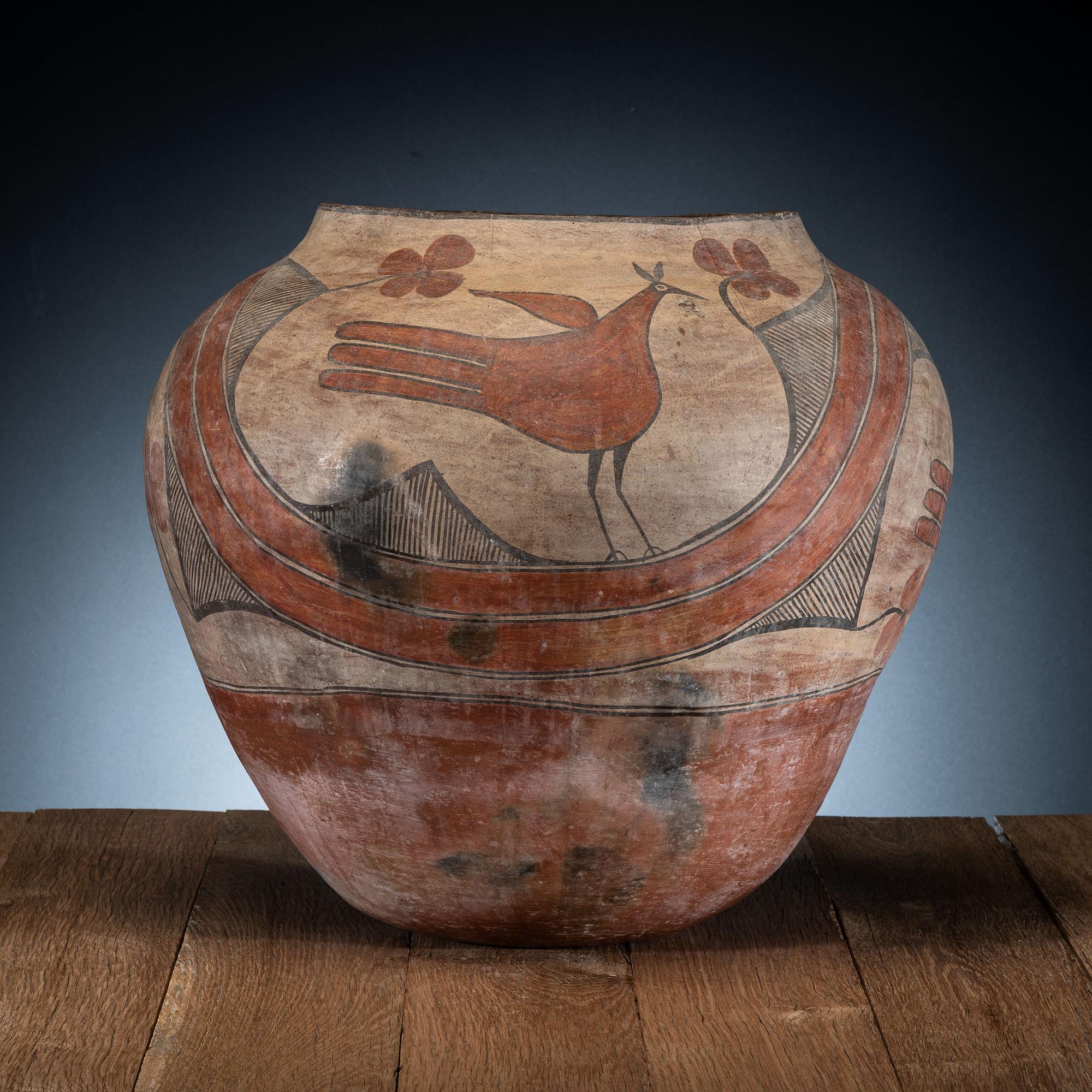 Zia Polychrome Pottery Olla