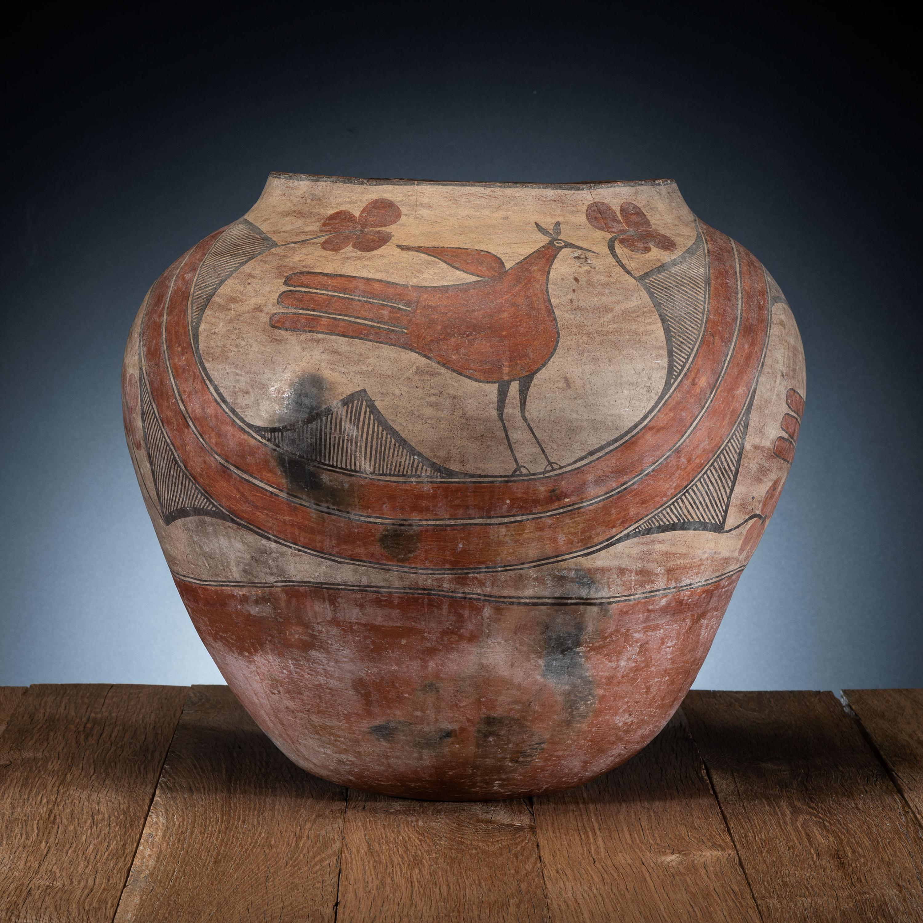 Zia Polychrome Pottery Olla