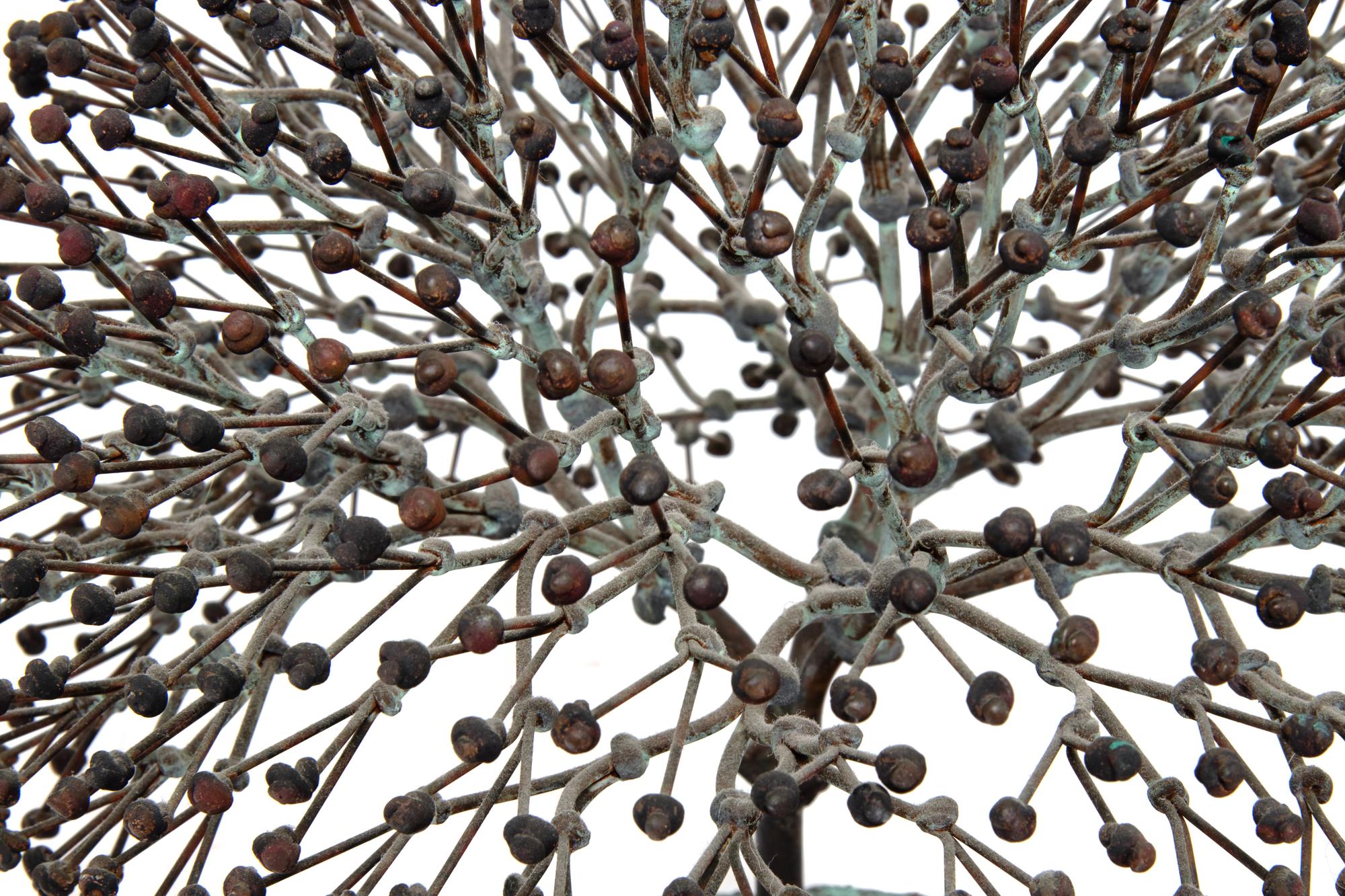 Untitled (Bush), c. 1970s