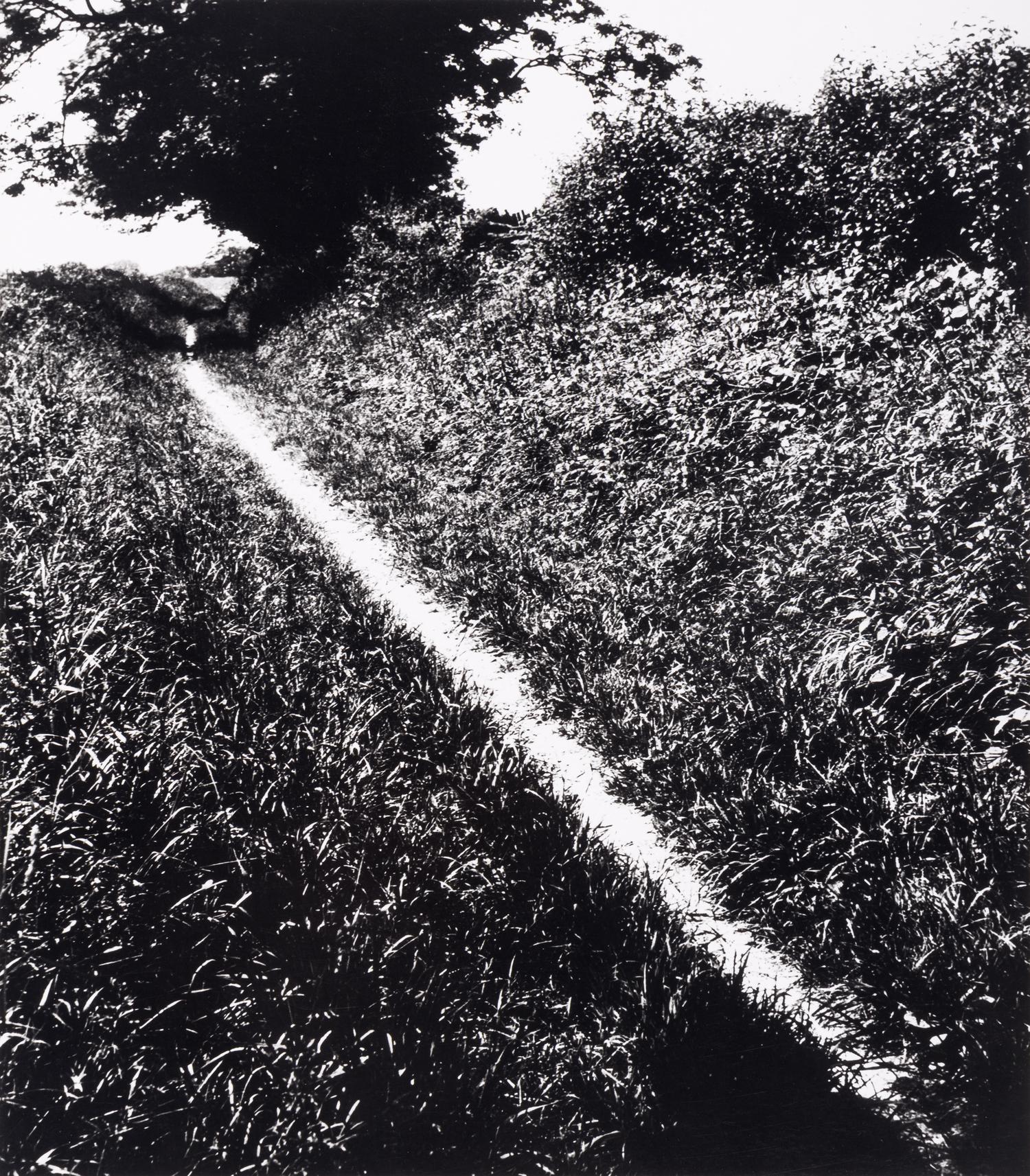 Bill Brandt (1904–1983) Pilgrim's Way, Kent, 1950