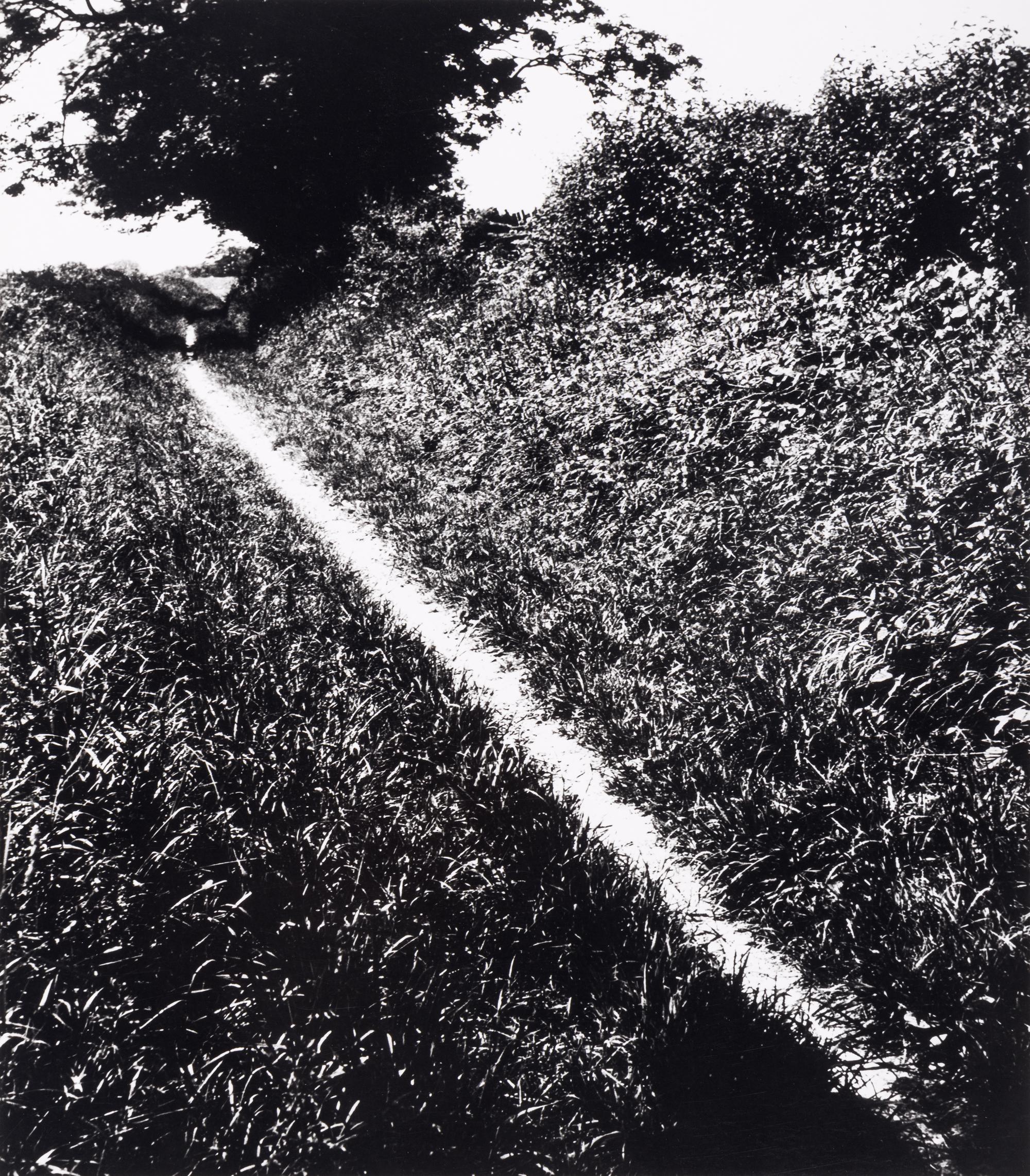 Bill Brandt (1904–1983) Pilgrim's Way, Kent, 1950