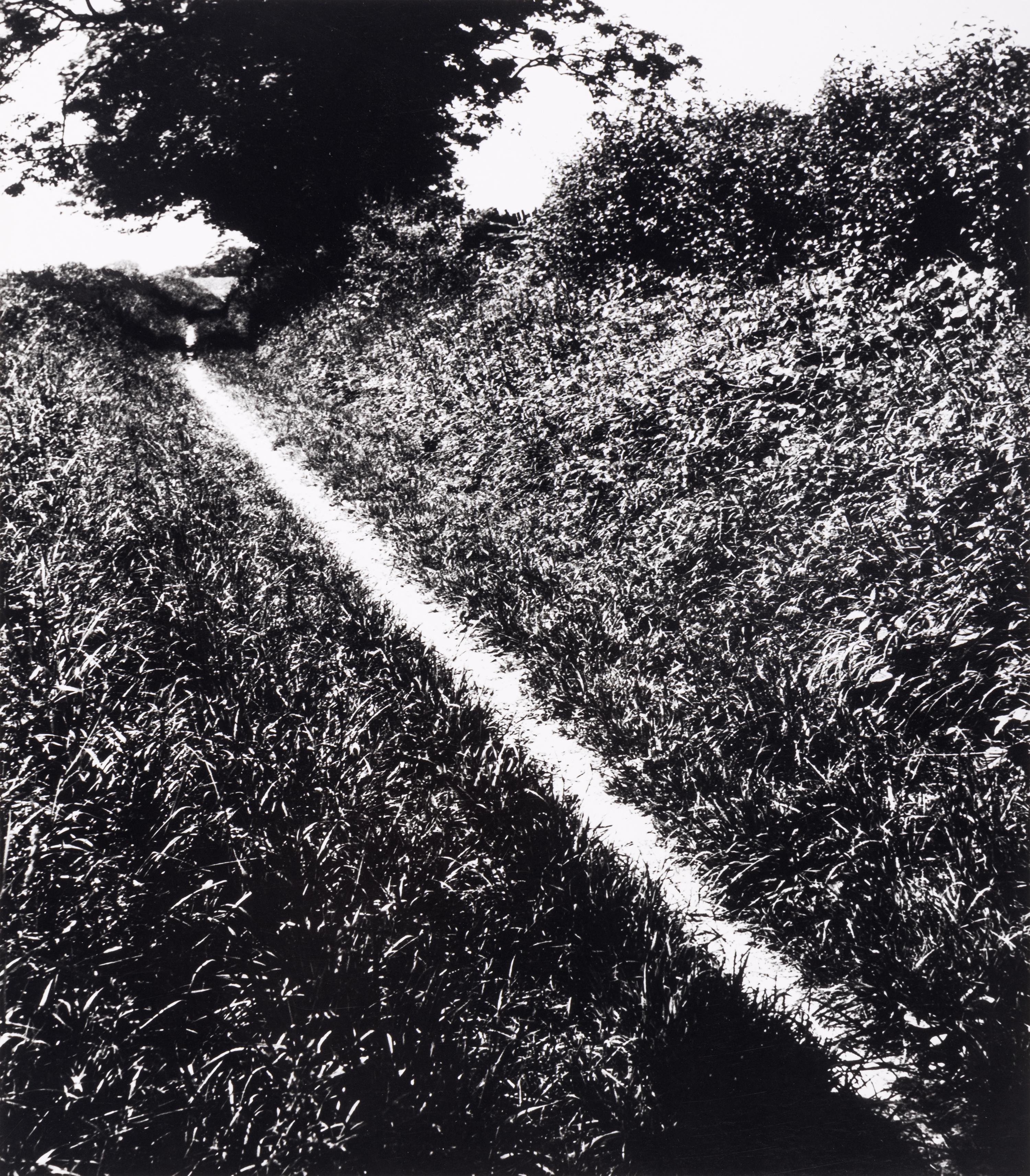 Bill Brandt (1904–1983) Pilgrim's Way, Kent, 1950