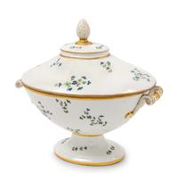 A French Porcelain Tureen and Cover