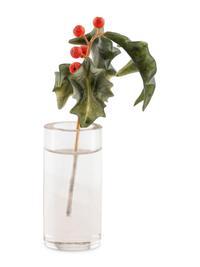 A Carved Rock Crystal, Nephrite and Coral and 18-Karat Gold Holly Berry Flower Study