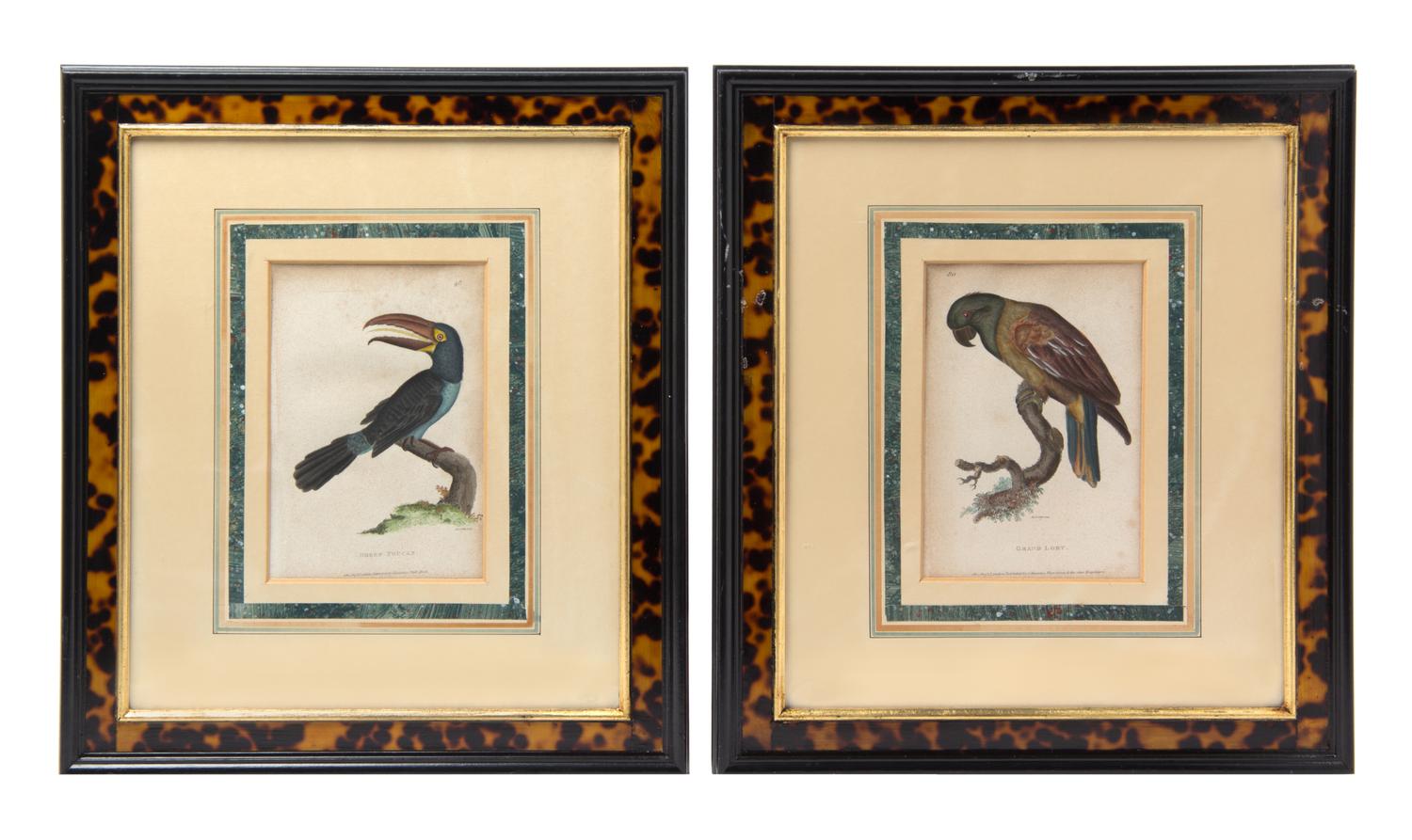A Pair of English Handcolored Bird Engravings Each: 7 3/4 x 5 1/4 inches. — 19TH CENTURY
