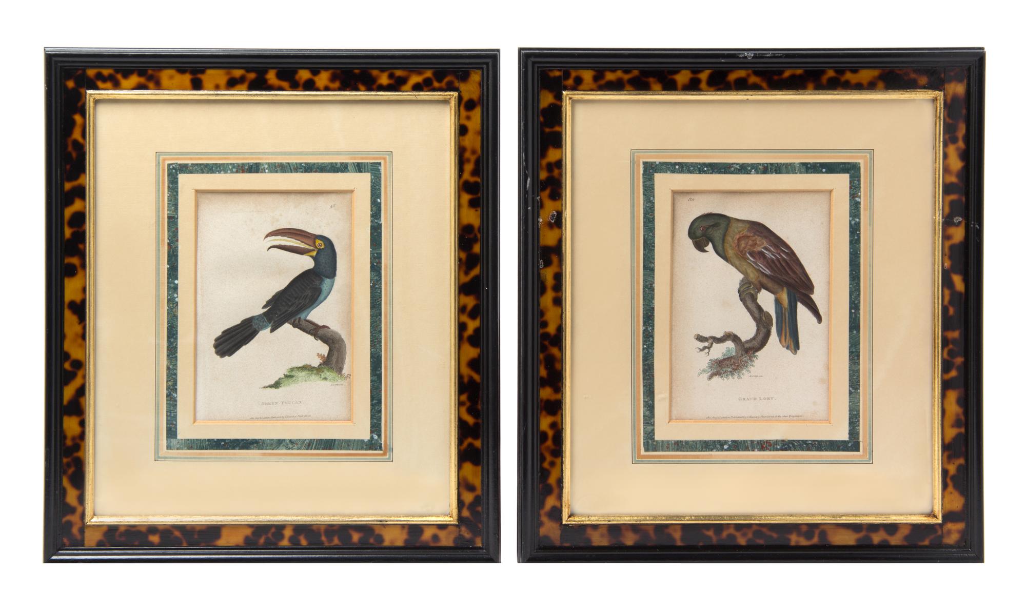A Pair of English Handcolored Bird Engravings Each: 7 3/4 x 5 1/4 inches. — 19TH CENTURY