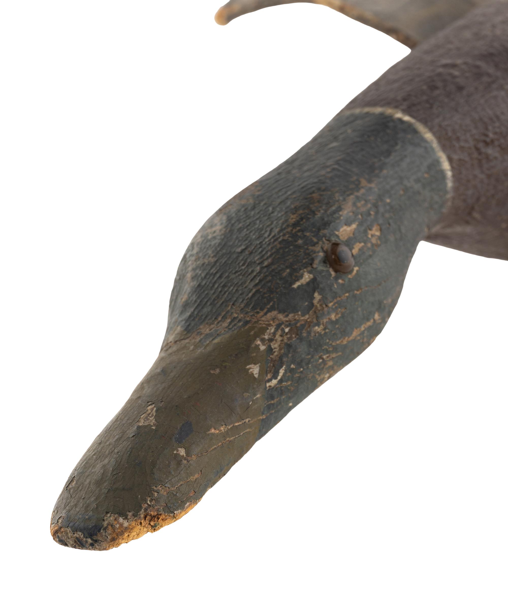 A Carved and Painted Wood Flying Mallard Decoy