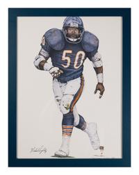 A Large Group of NFL Signed Autograph and Display Items Including Dan Marino