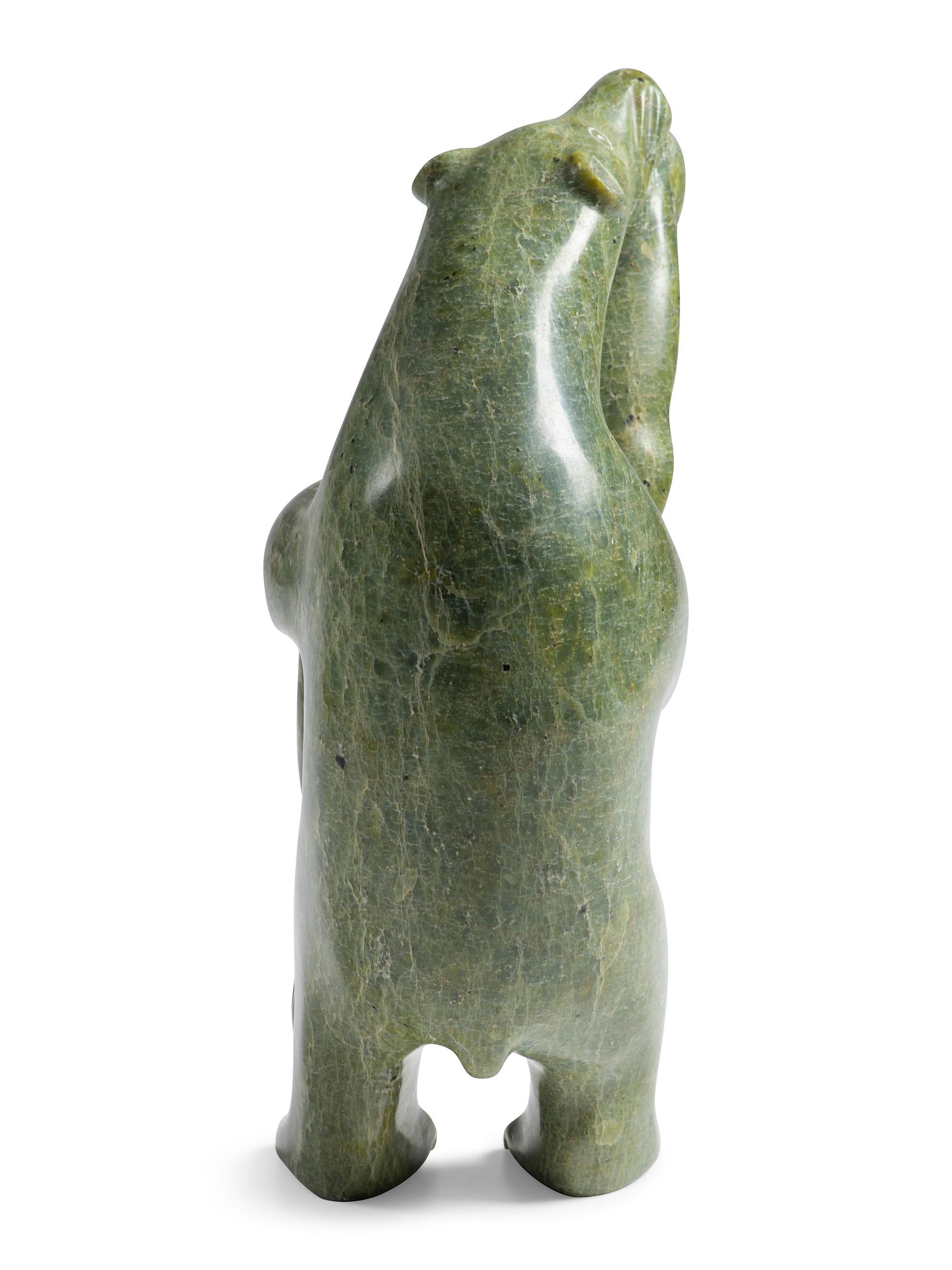 untitled, bear and seal