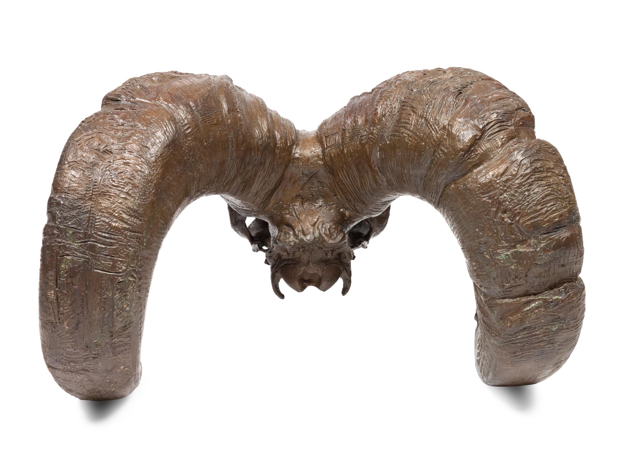 Bighorn Skull , edition 1/22