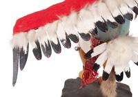 Eagle and Fancy Dancer