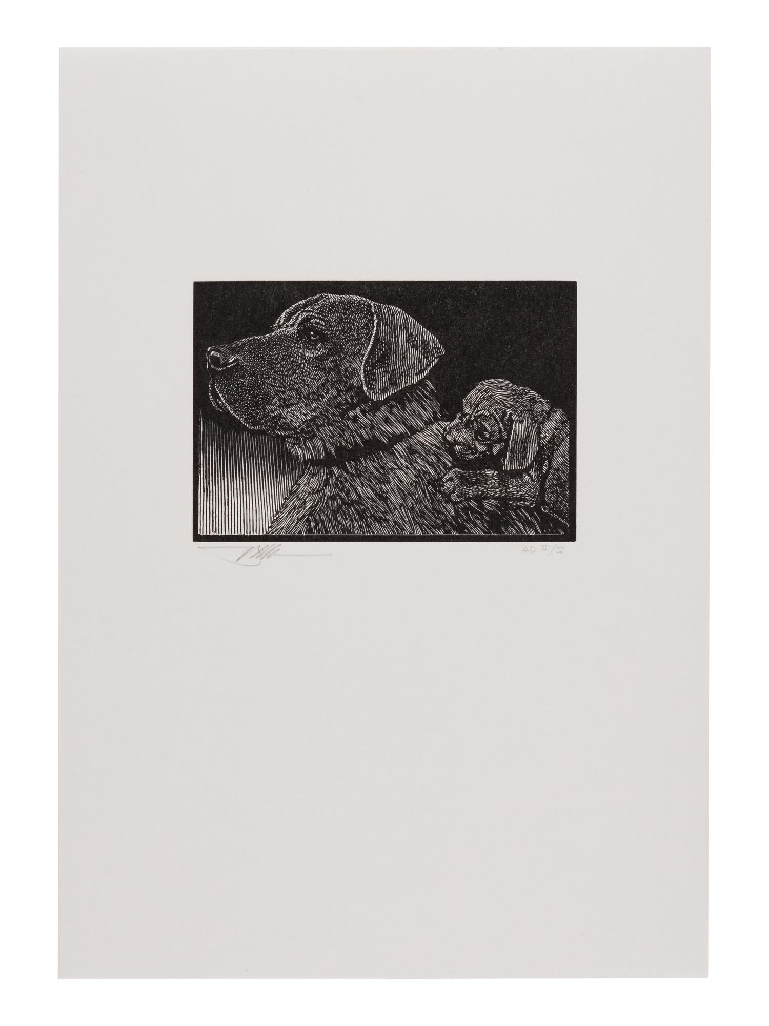 [MOSER, Barry, illustrator]. [CLEMENS, Samuel Langhorne (1835-1910)]. Mark Twain’s Book of Animals. Edited with Introduction, Afterward, & Notes by Shelley Fisher Fishkin. Illustrations by Barry Moser . Berkeley, CA: University of California Press, [2010].