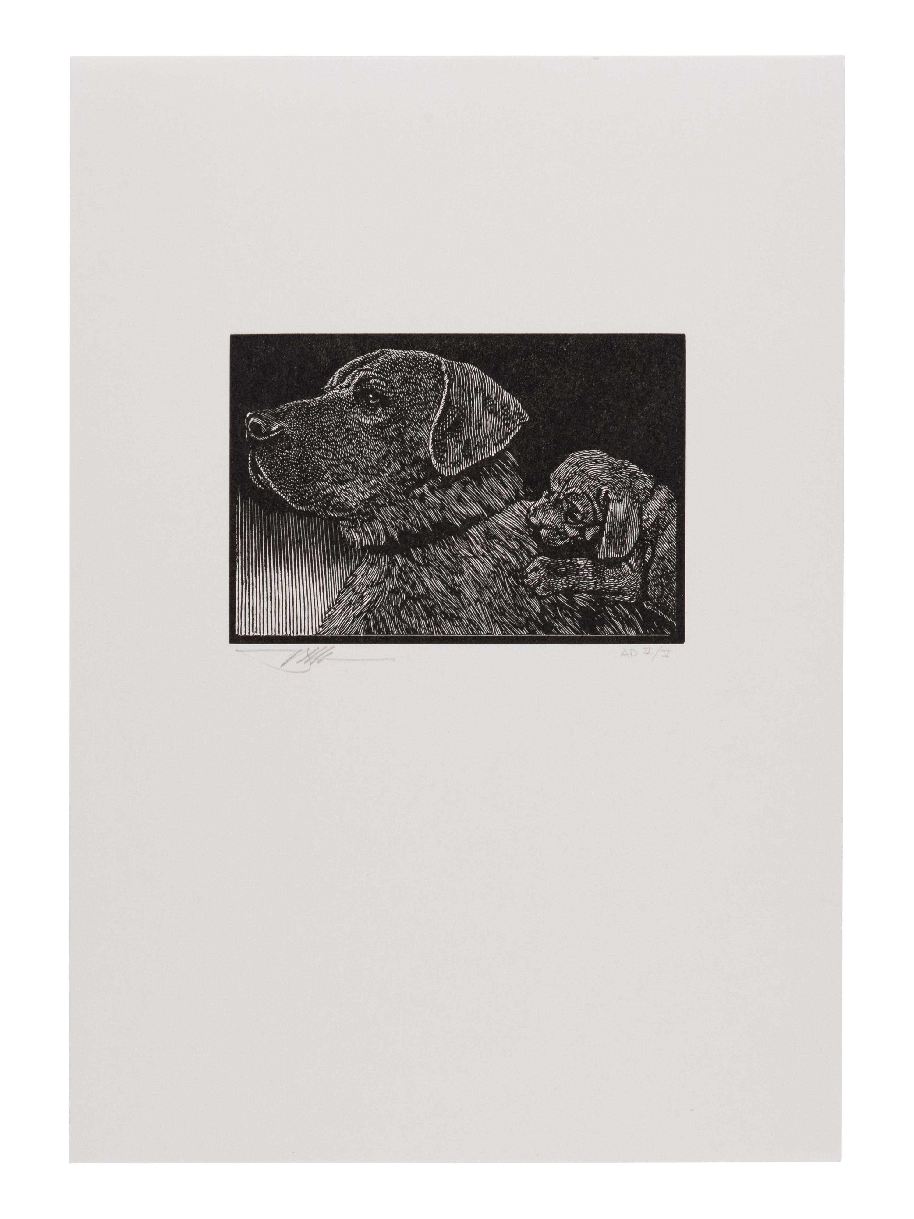 [MOSER, Barry, illustrator]. [CLEMENS, Samuel Langhorne (1835-1910)]. Mark Twain’s Book of Animals. Edited with Introduction, Afterward, & Notes by Shelley Fisher Fishkin. Illustrations by Barry Moser . Berkeley, CA: University of California Press, [2010].