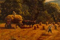 Old Stubble Field (The Hayfield)