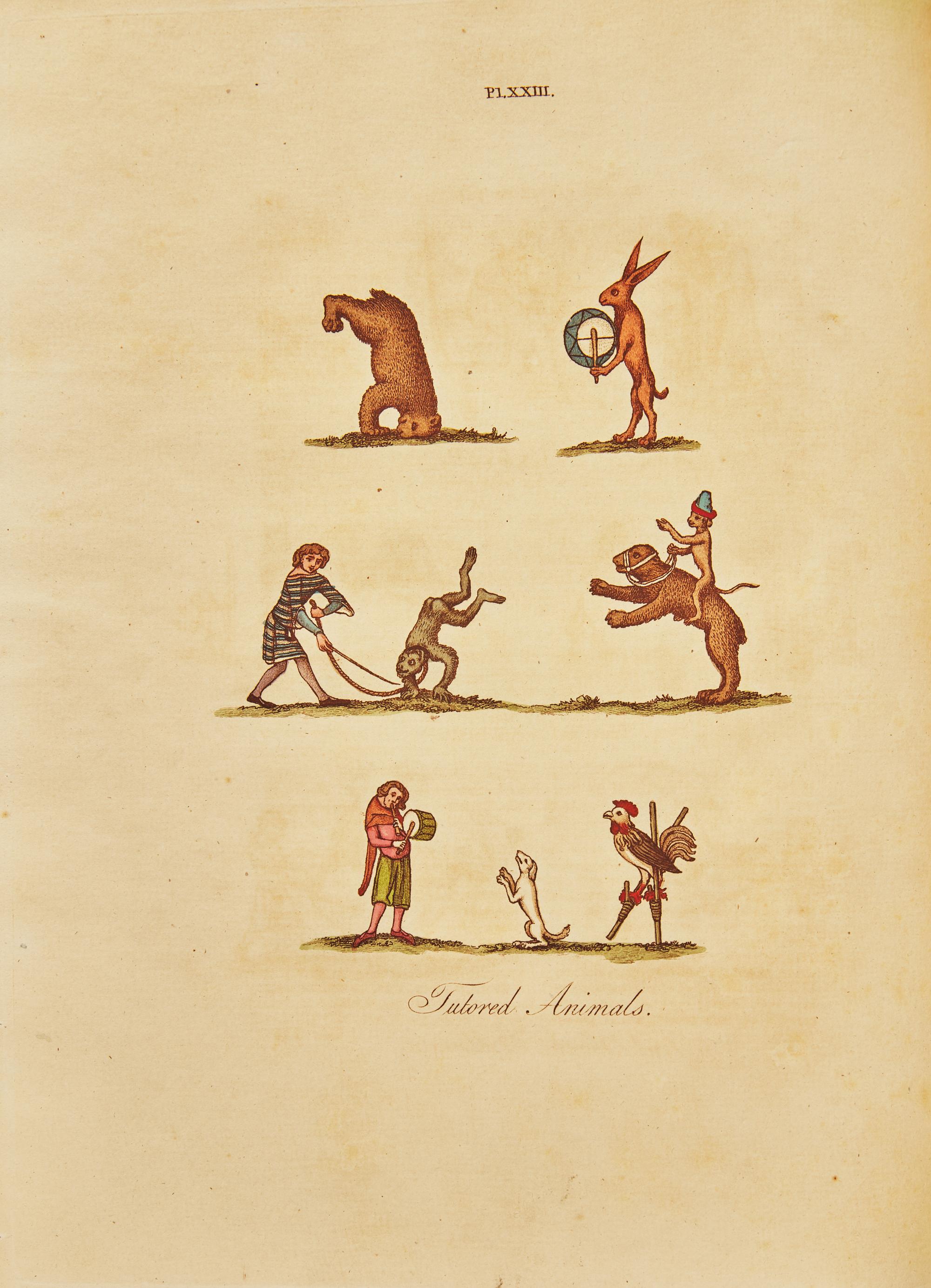 [SPORTING]. STRUTT, Joseph. Glic Gamena Angel Deod. Or, The Sports and Pastimes of the People of England... London: T. Bensley, 1801.