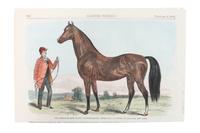 Six Hand Colored Race Horse Prints Height 7 x width 10 inches (largest) — 19TH CENTURY