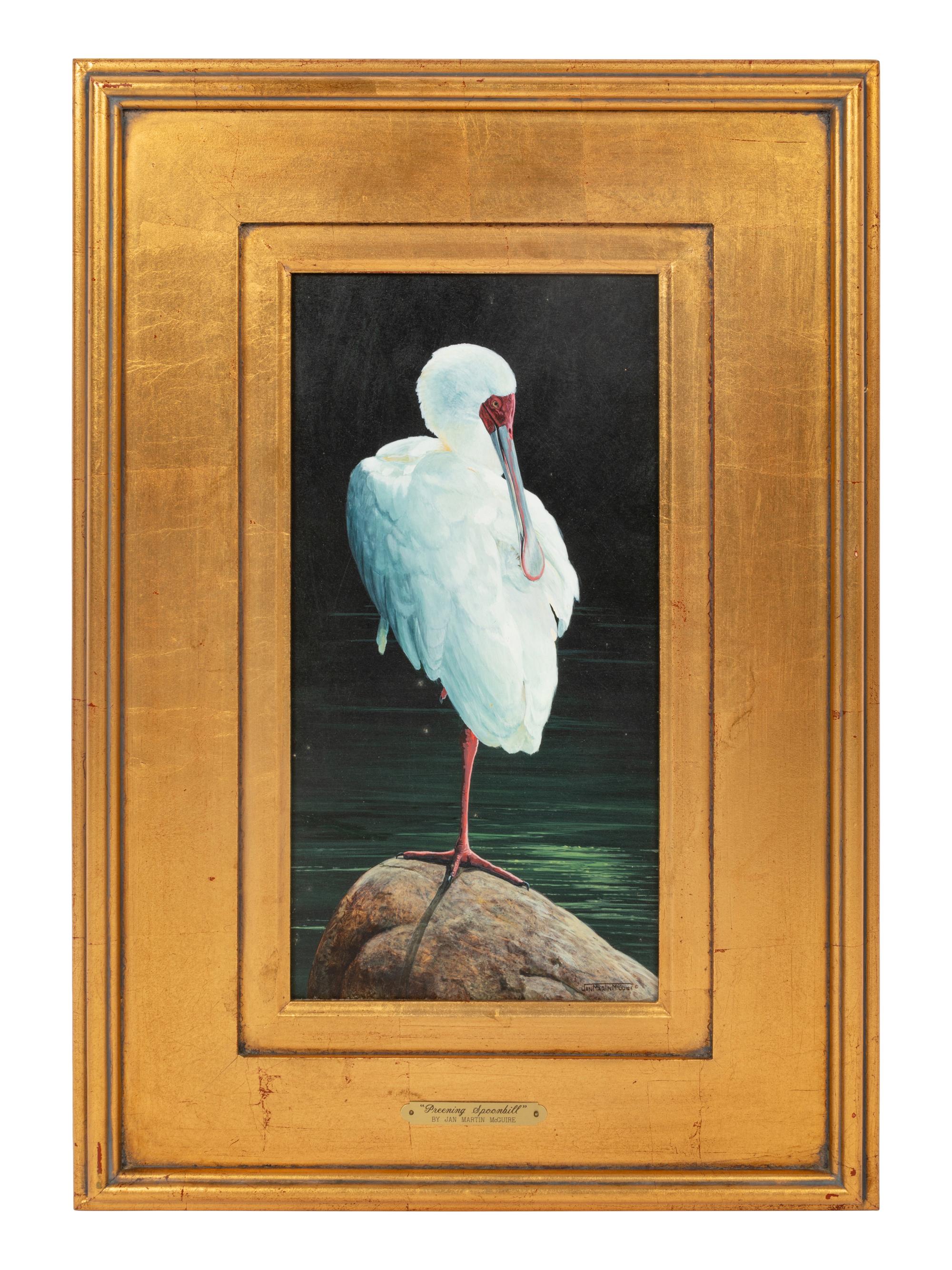 Preening Spoonbill , 2007