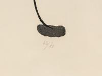Miró à l'encre