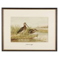 ALEXANDER POPE JUNIOR (AMERICAN 1849-1924) "BLACK DUCK" FROM UPLAND GAME BIRDS AND WATERFOWL OF THE UNITED STATES
