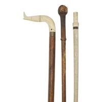 A Group of Three Walking Sticks