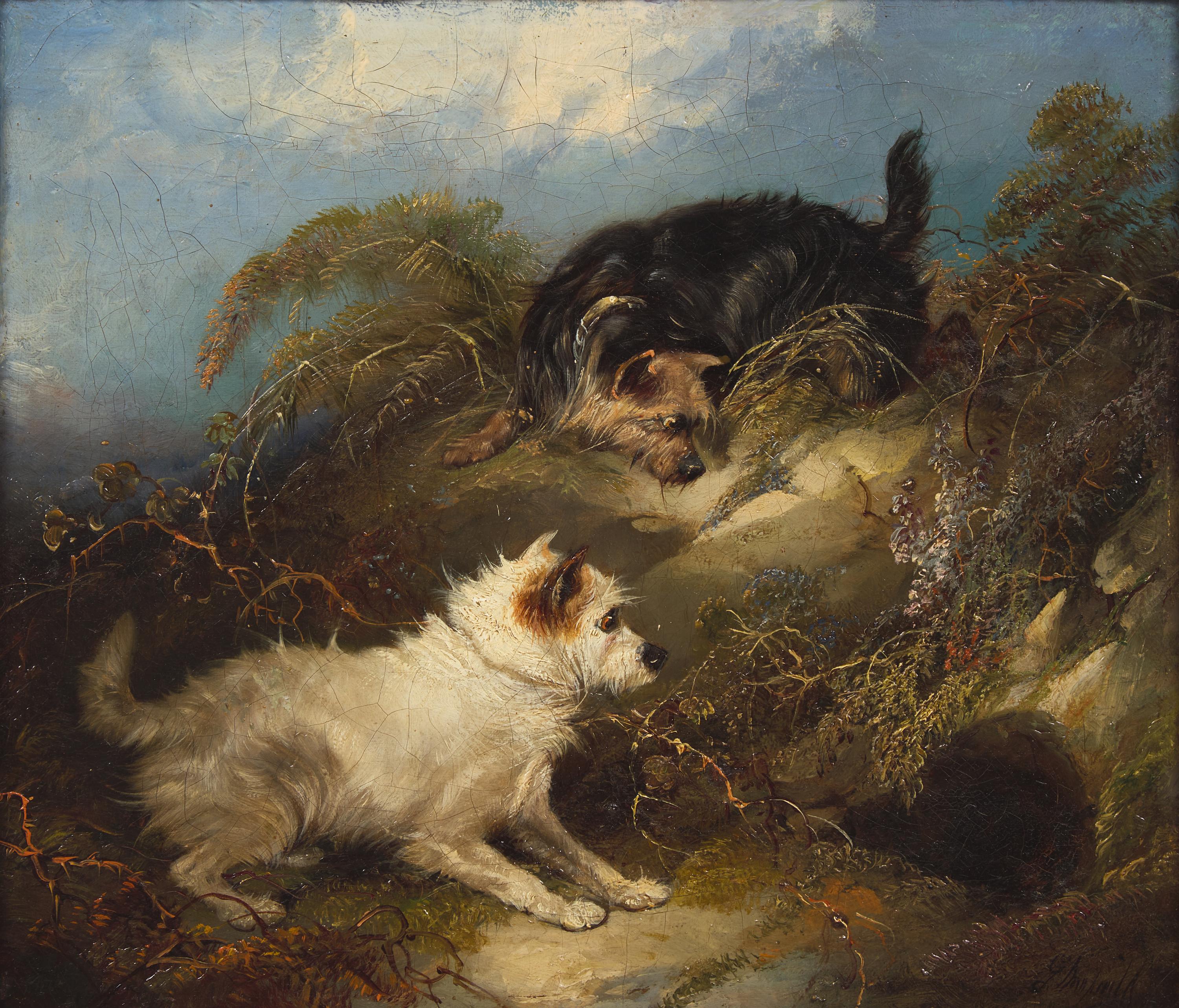 George Armfield (British, born c. 1808-1893) — Two Dogs at Small Cave