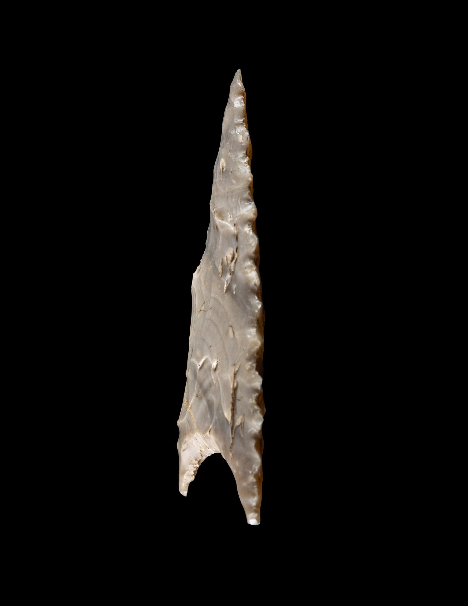 A Neolithic Flint Serrated Point
