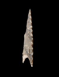A Neolithic Flint Serrated Point
