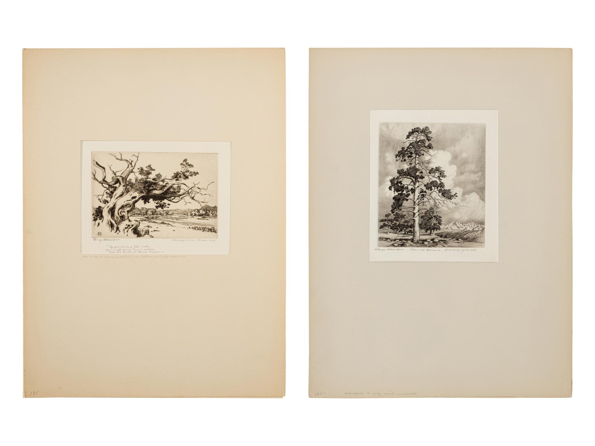 Two Works: Pine and Clouds and Hassayampa River- Arizona