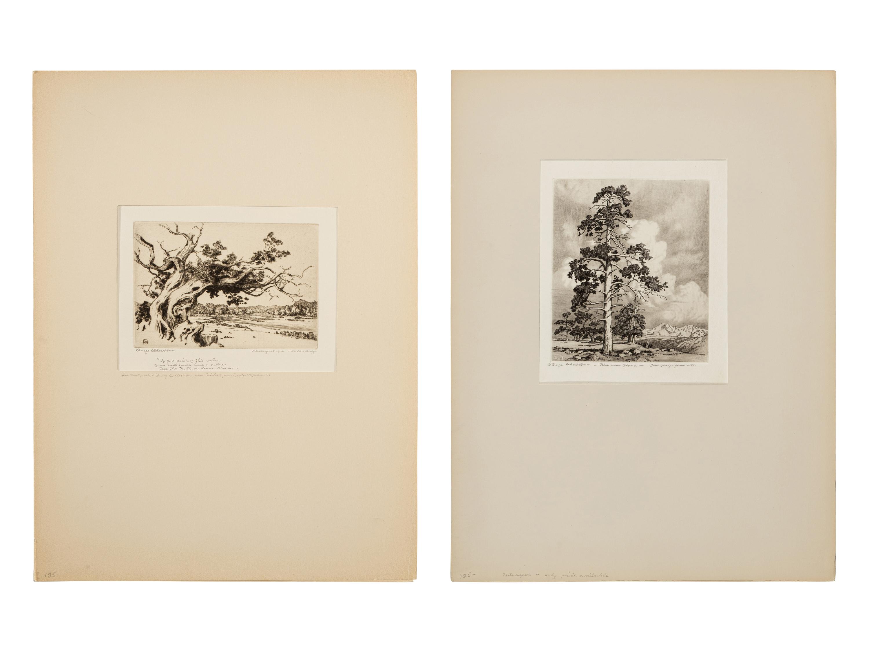 Two Works: Pine and Clouds and Hassayampa River- Arizona
