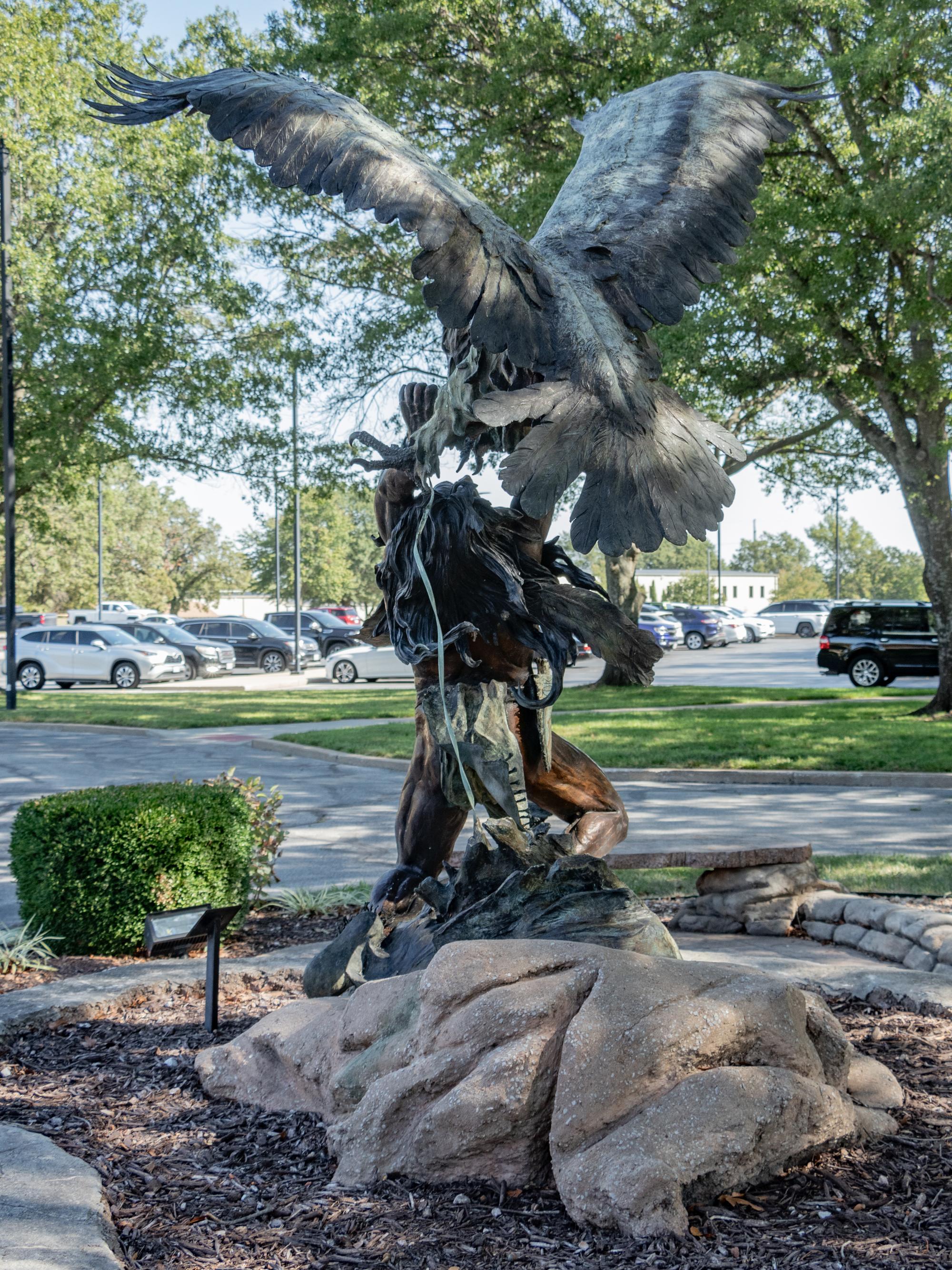 Eagle Catcher