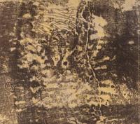 Ground Soil ( Dispositif au sol ) (from Clean Slates ( Tables rases ) from Phenomena ( Les Phénomènes) ), 1958