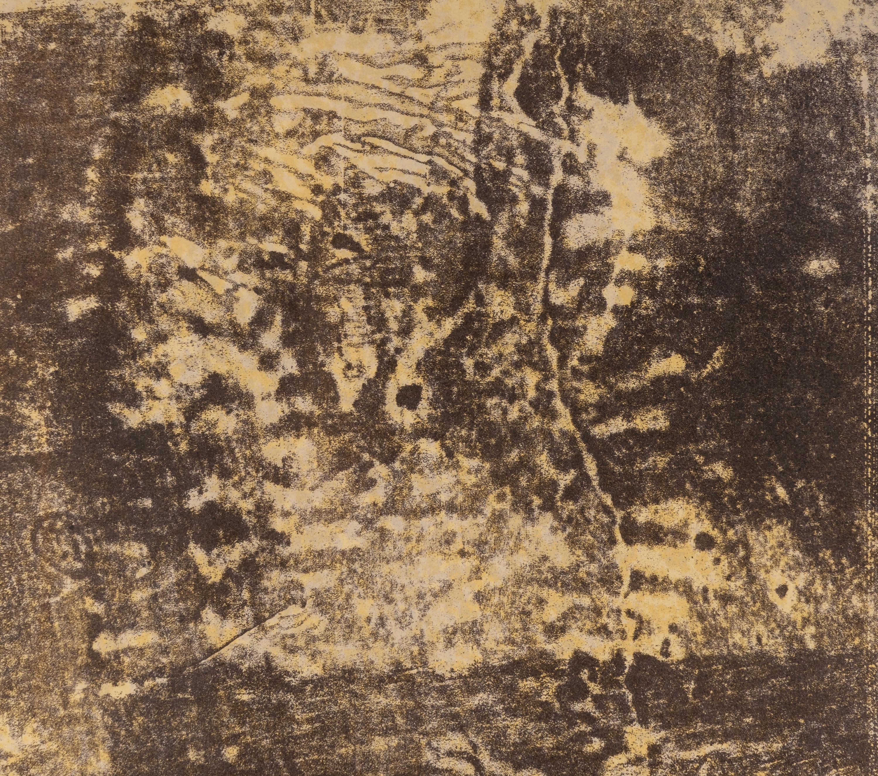 Ground Soil ( Dispositif au sol ) (from Clean Slates ( Tables rases ) from Phenomena ( Les Phénomènes) ), 1958