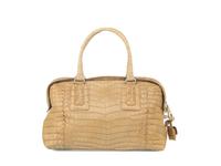 Bottega Veneta Crocodile Bag