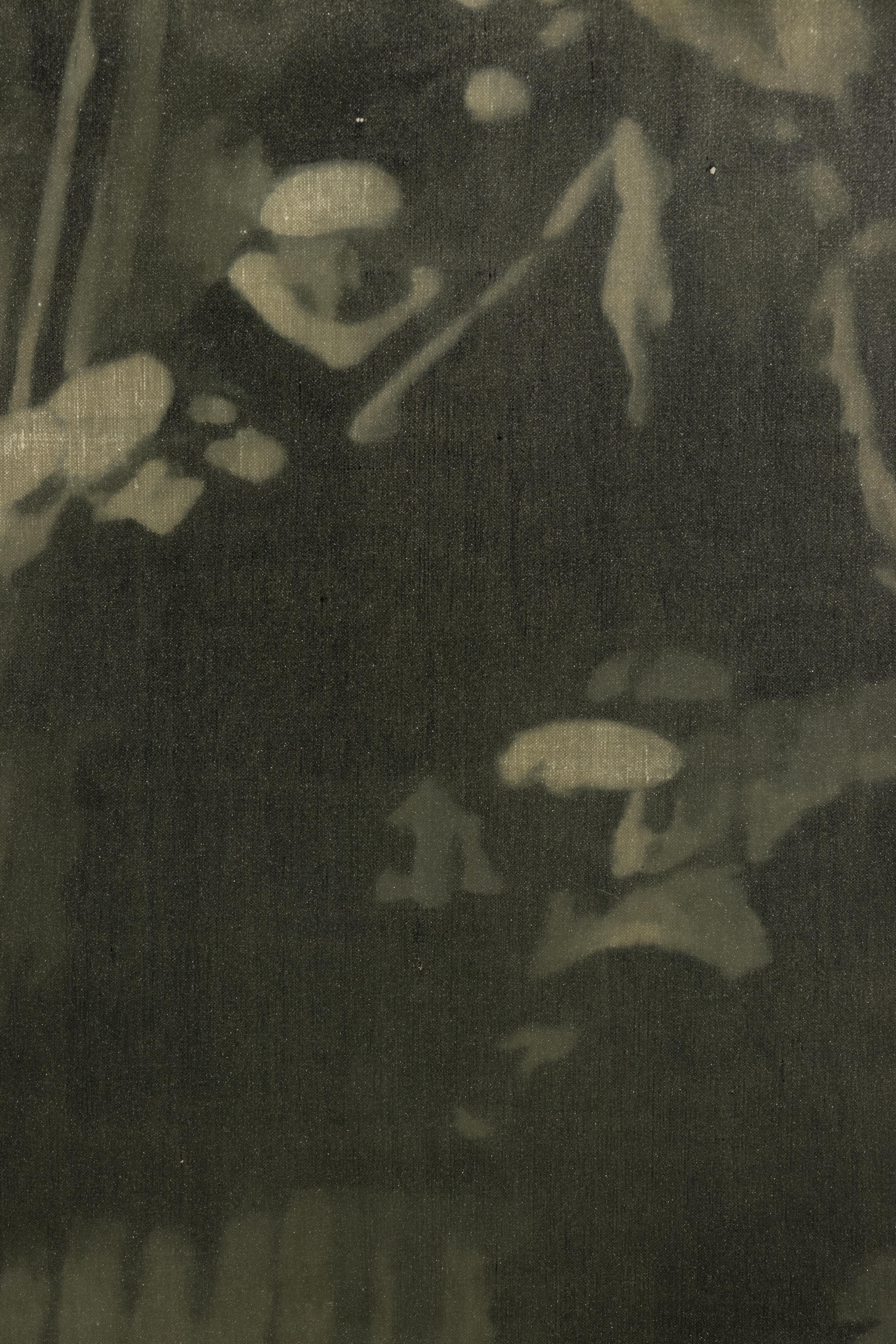 The Twentieth Century #4